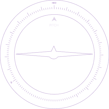 Scale 1