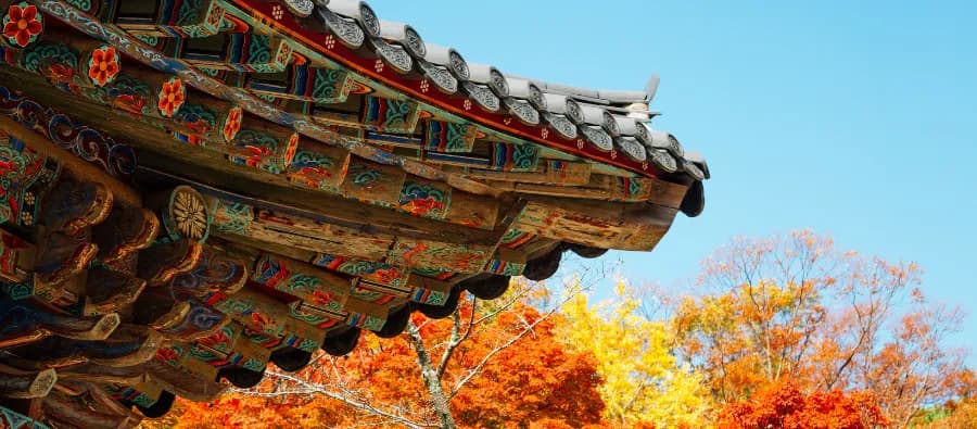 Blog_Detail_Banner