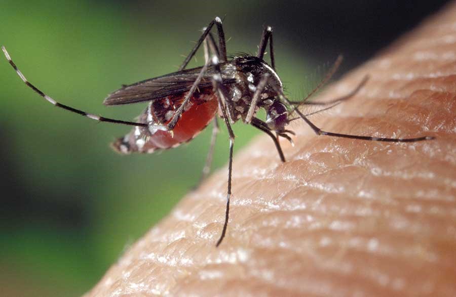 Zika Spreads In South Florida