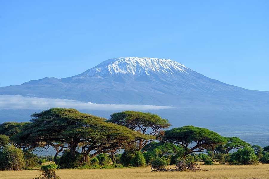 Kilimanjaro – My Climb For Aviation Sustainability