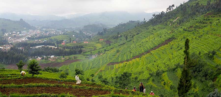 Flying To Rwanda