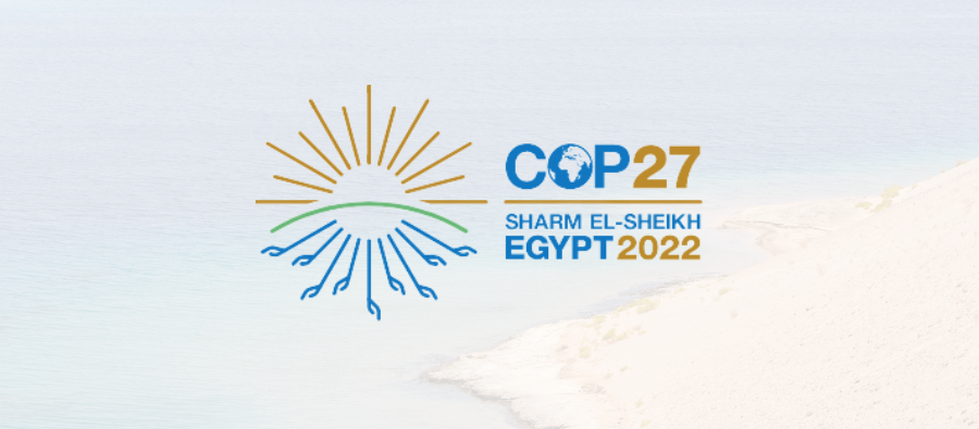COP27 Underway In Sharm El Sheikh