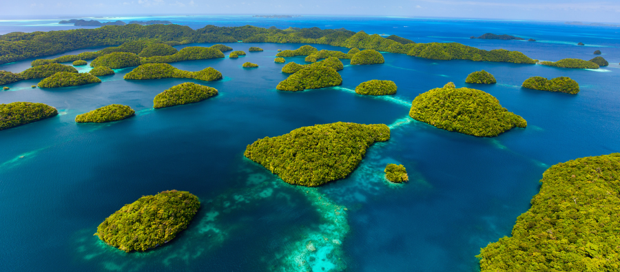 Hidden Gems: Palau