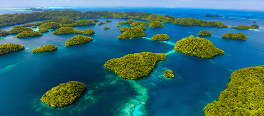 Hidden Gems Palau