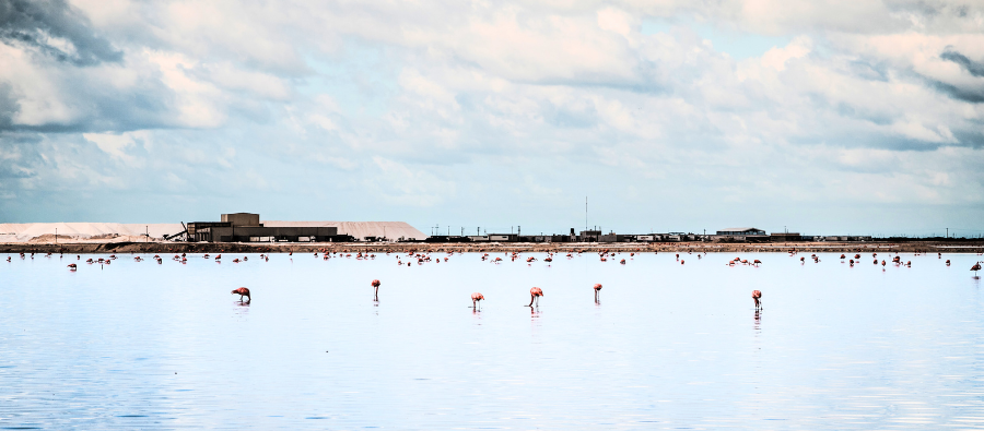 Hidden Gems: Las Coloradas