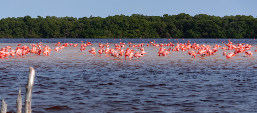 Hidden Gems: Las Coloradas