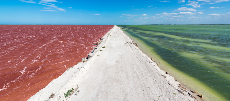 Hidden Gems: Las Coloradas