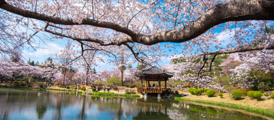 Hidden Gems: Gyeongju 