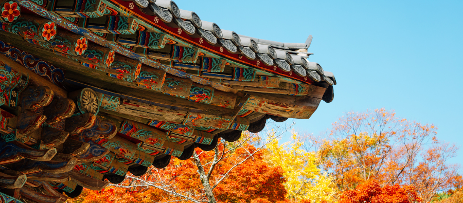 Hidden Gems: Gyeongju 