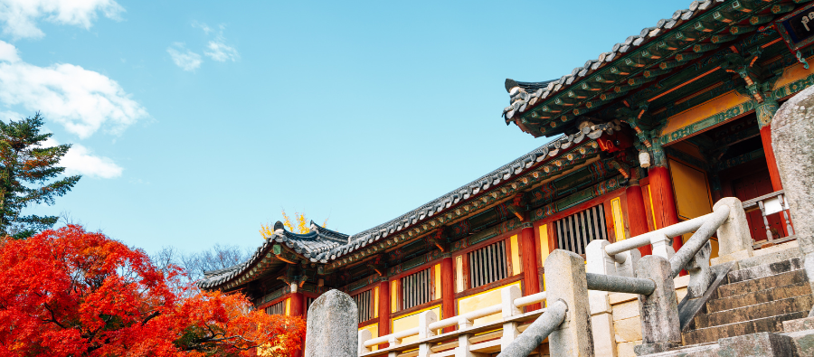 Hidden Gems: Gyeongju 