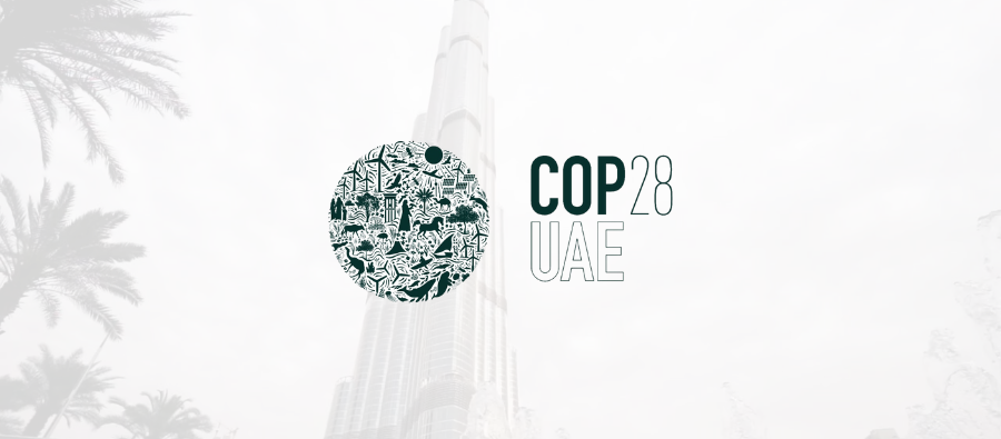 Flight Operations To COP28 Dubai