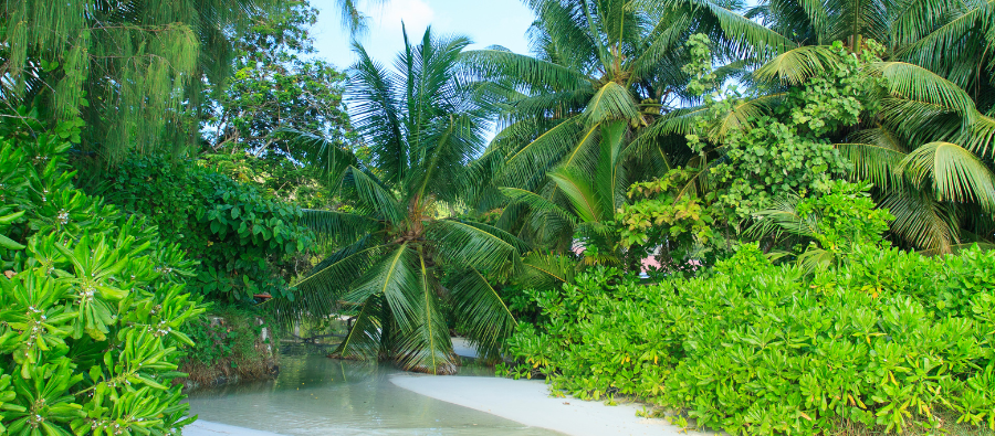 Hidden Gems: Seychelles